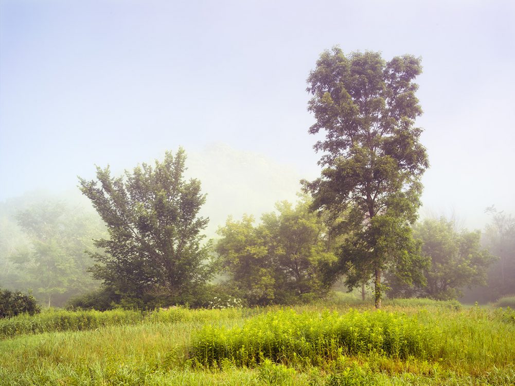 Early morning in Viola, Wisconsin by Ting-Li Lin